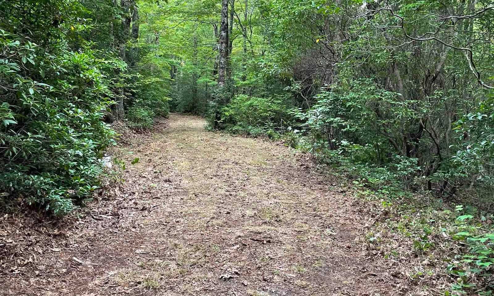 Property image 3 at 116 Caesar's Pointe, Cleveland, SC 29635