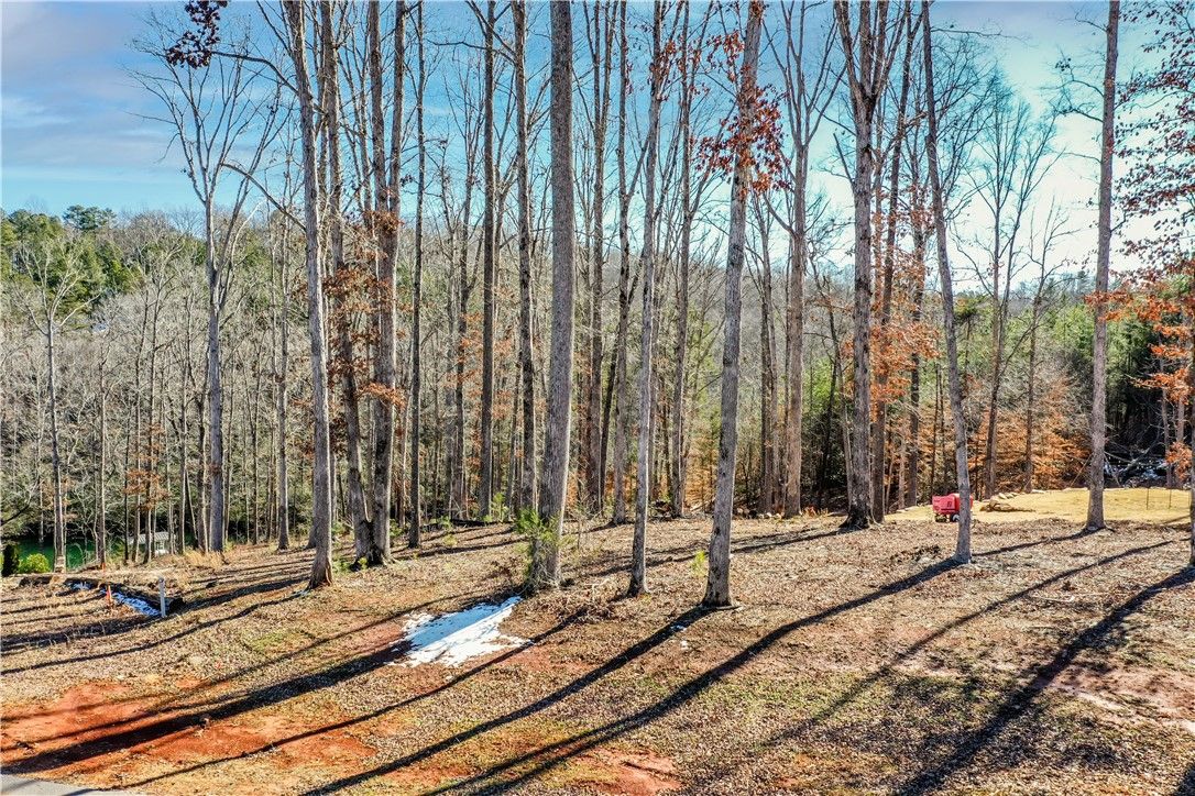 Property image 4 at 220 Harborside Drive, Six Mile, SC 29682
