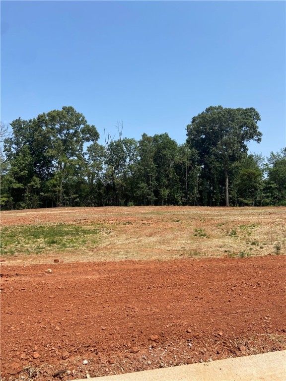 Main image of property at 140 Rickys Path, Powdersville, SC 29642