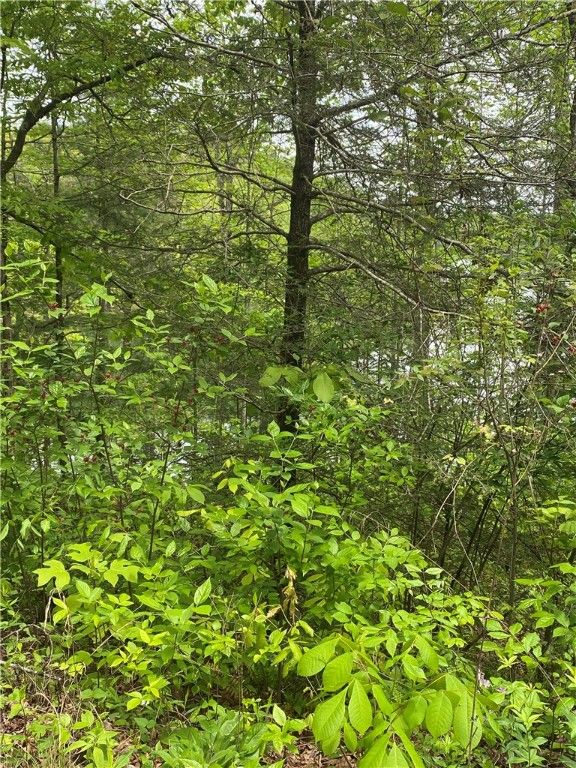 Property image 3 at Lot 36 Crystal Lake Road, Mountain  Rest, SC 29664