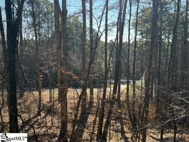 Property image 4 at Mountain Mint Way, Salem, SC 29676
