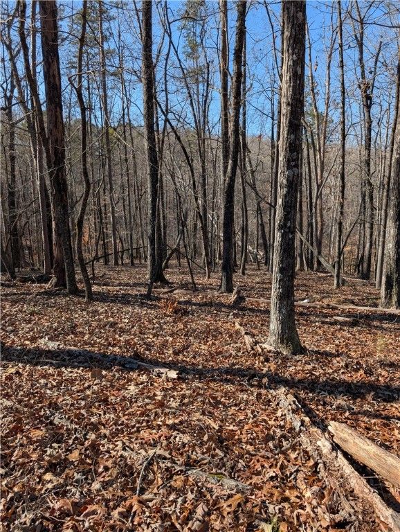 Property image 4 at Lot 2 Ferngrove Court, Seneca, SC 29672