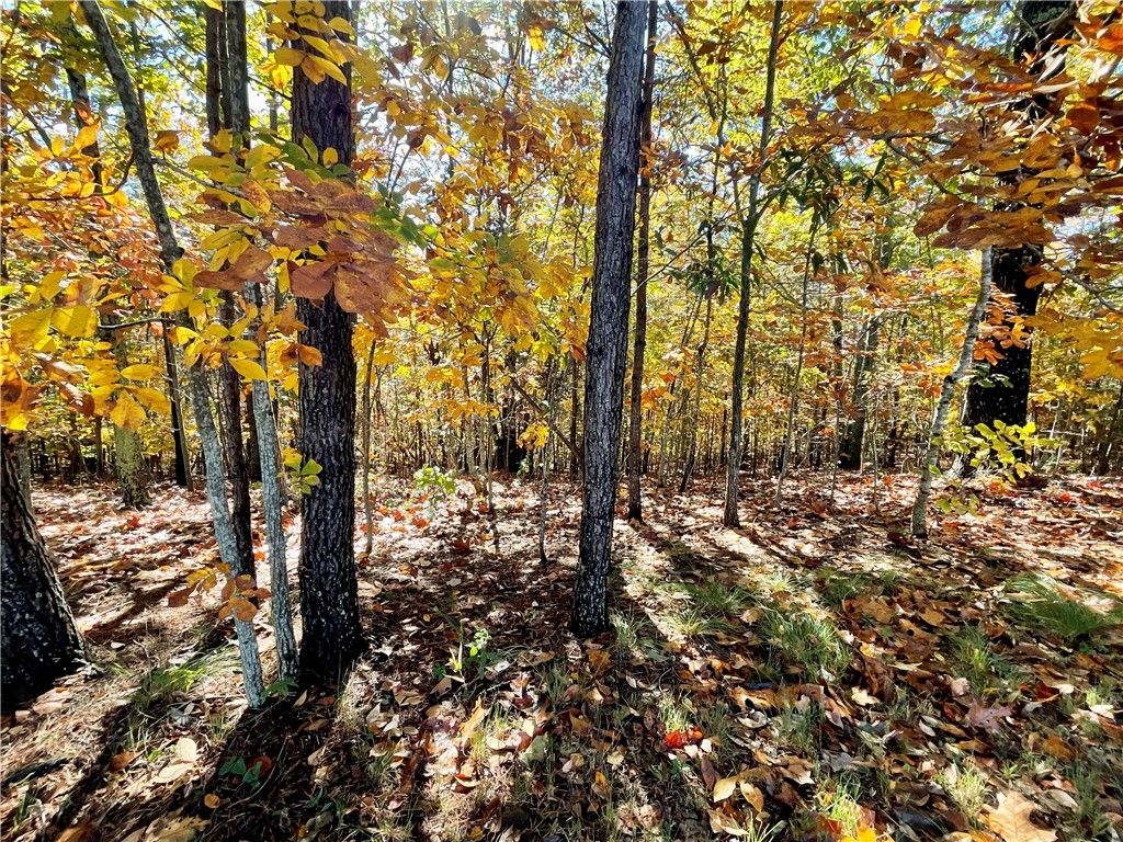 Property image 3 at 203 Long View Court, Pickens, SC 29671