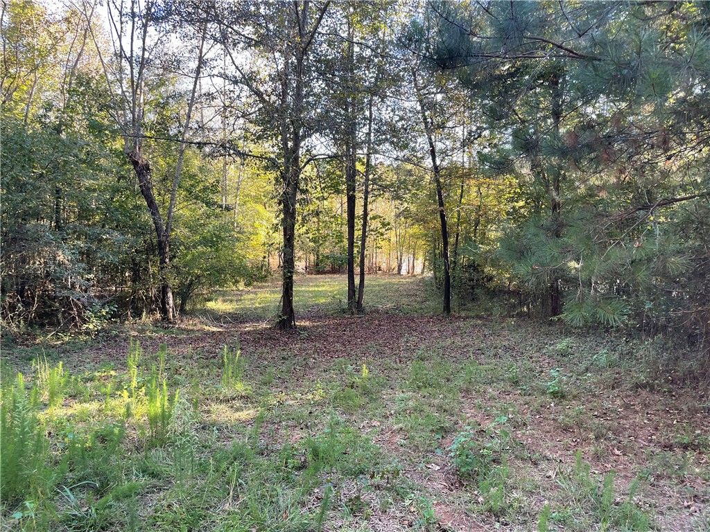 Property image 3 at 00 Lone Oak Road, Anderson, SC 29621