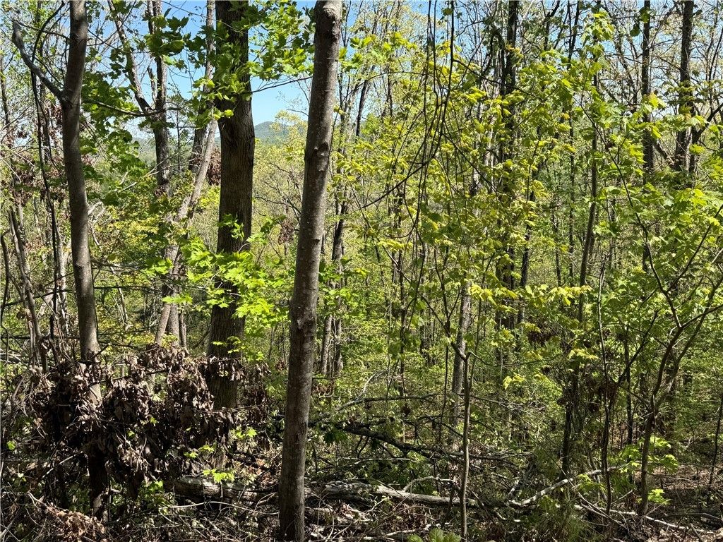 Property image 2 at 113 Stone Creek Court, Pickens, SC 29671