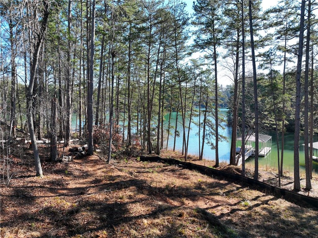 Property image 4 at 182 Palmetto Pointe (Lot 9) Drive, Salem, SC 29676