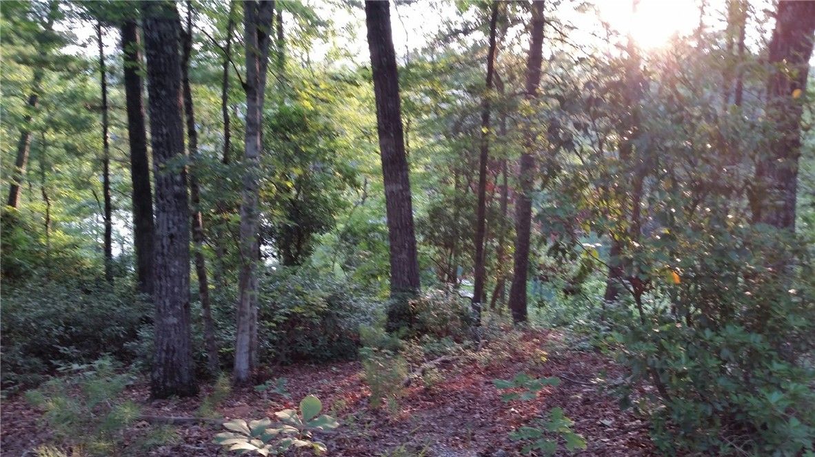 Property image 1 at J20 Jocassee Point Road, Salem, SC 29676