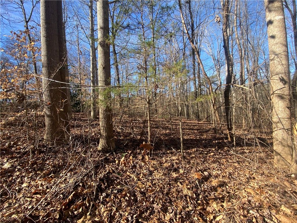Property image 2 at Lots 29 & 30 Timberlake One Circle, Seneca, SC 29678