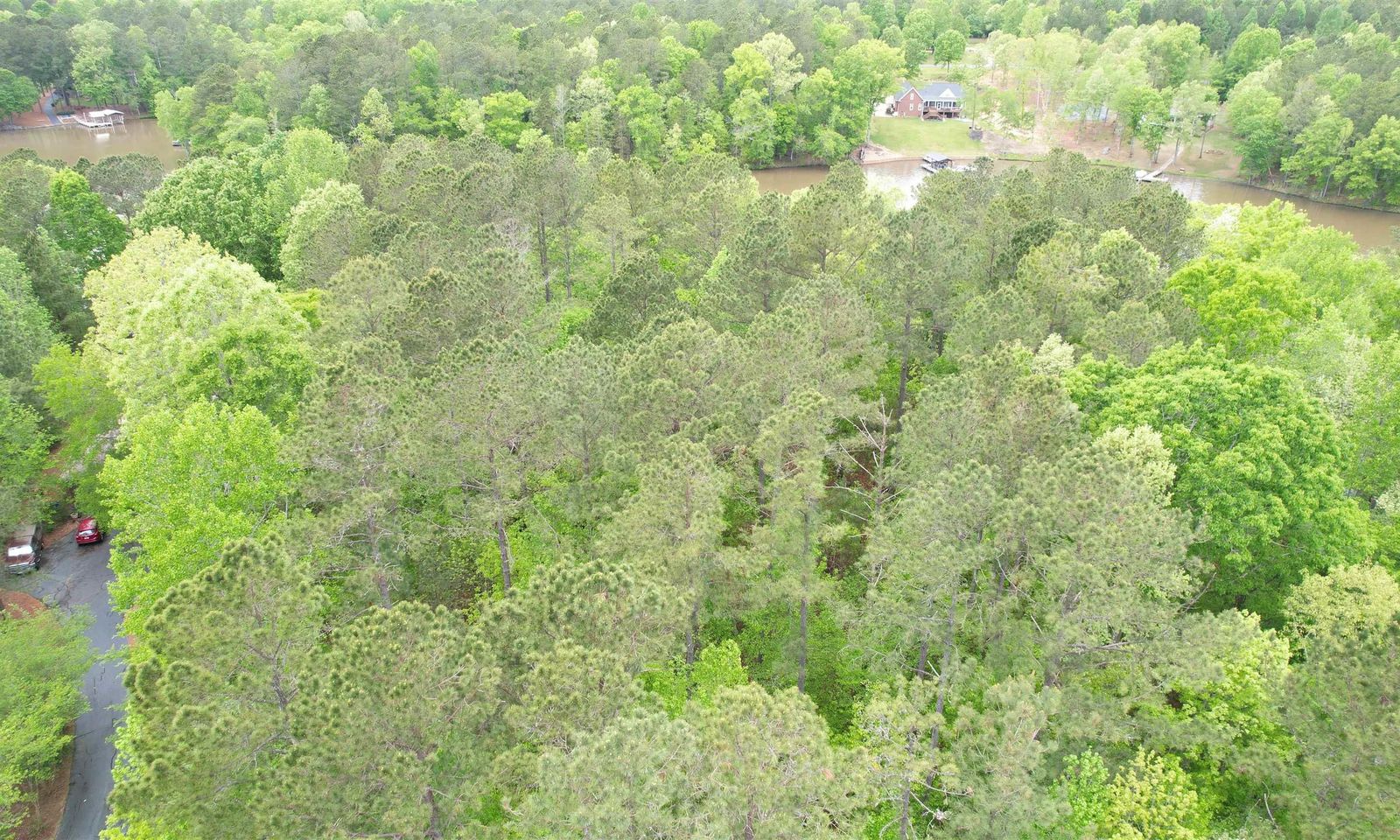 Property image 3 at 342 Watersedge Drive, Cross Hill, SC 29332