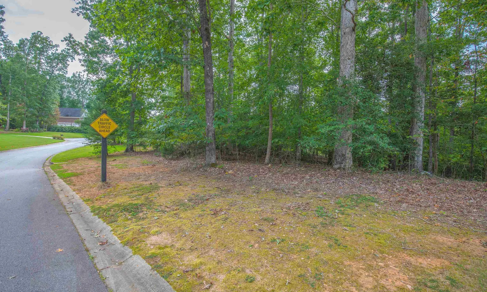 Braemor, Greenville Community