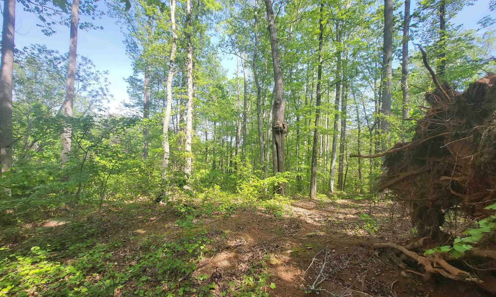 The Woodlands at Cherokee Valley, Travelers Rest Community