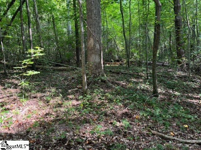 Property image 3 at Christie Drive, Taylors, SC 29687