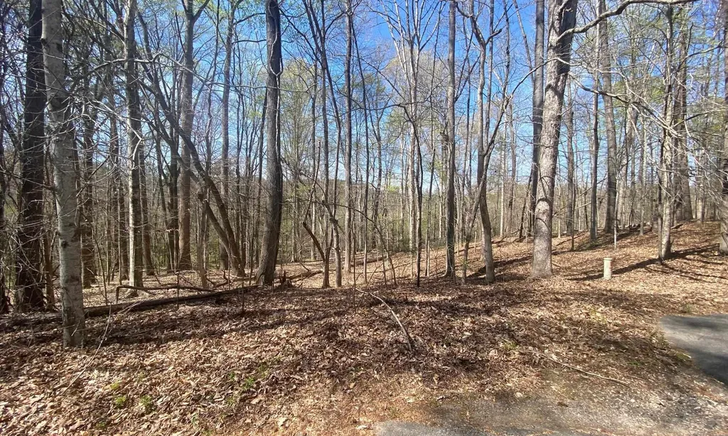 105 Dogleg Drive