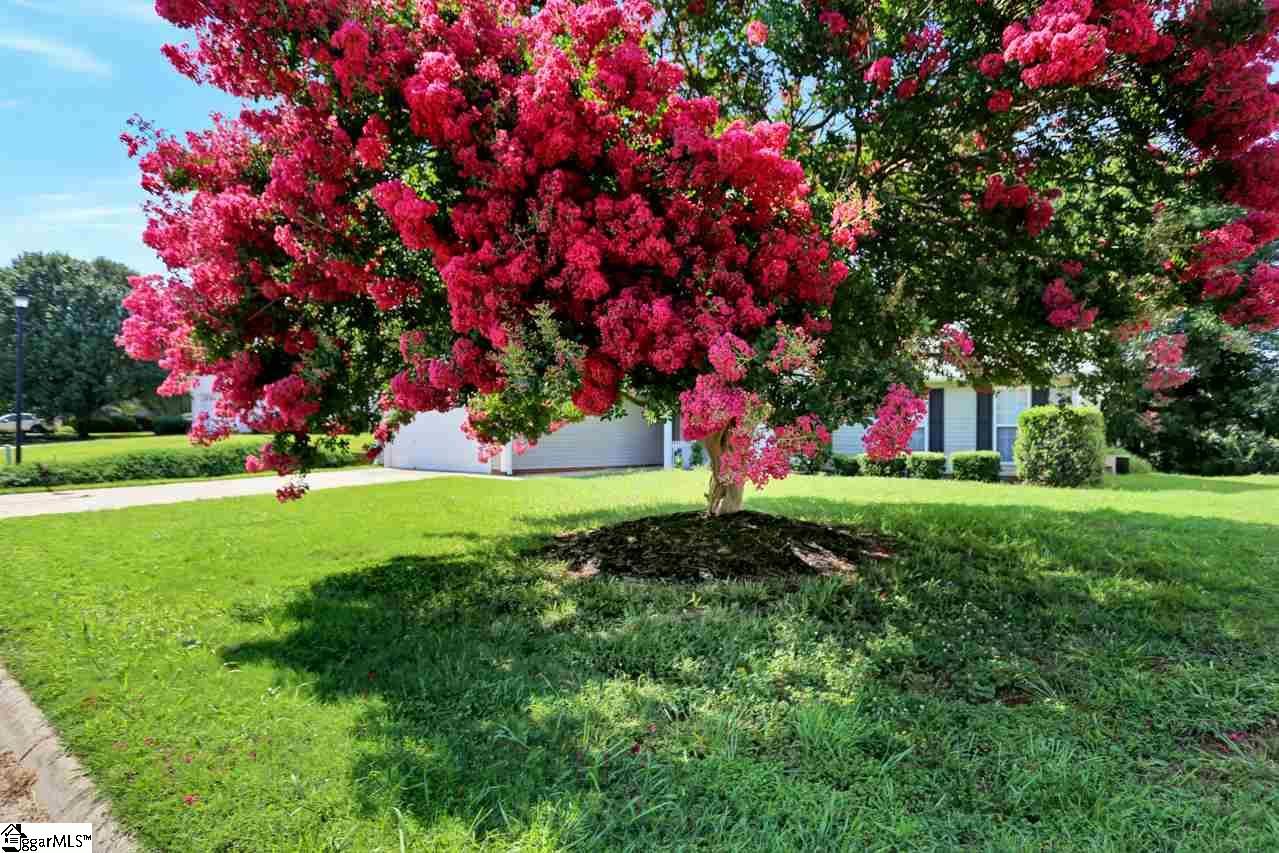Property image 2 at 11 Pheasant Ridge Drive, Taylors, SC 29687