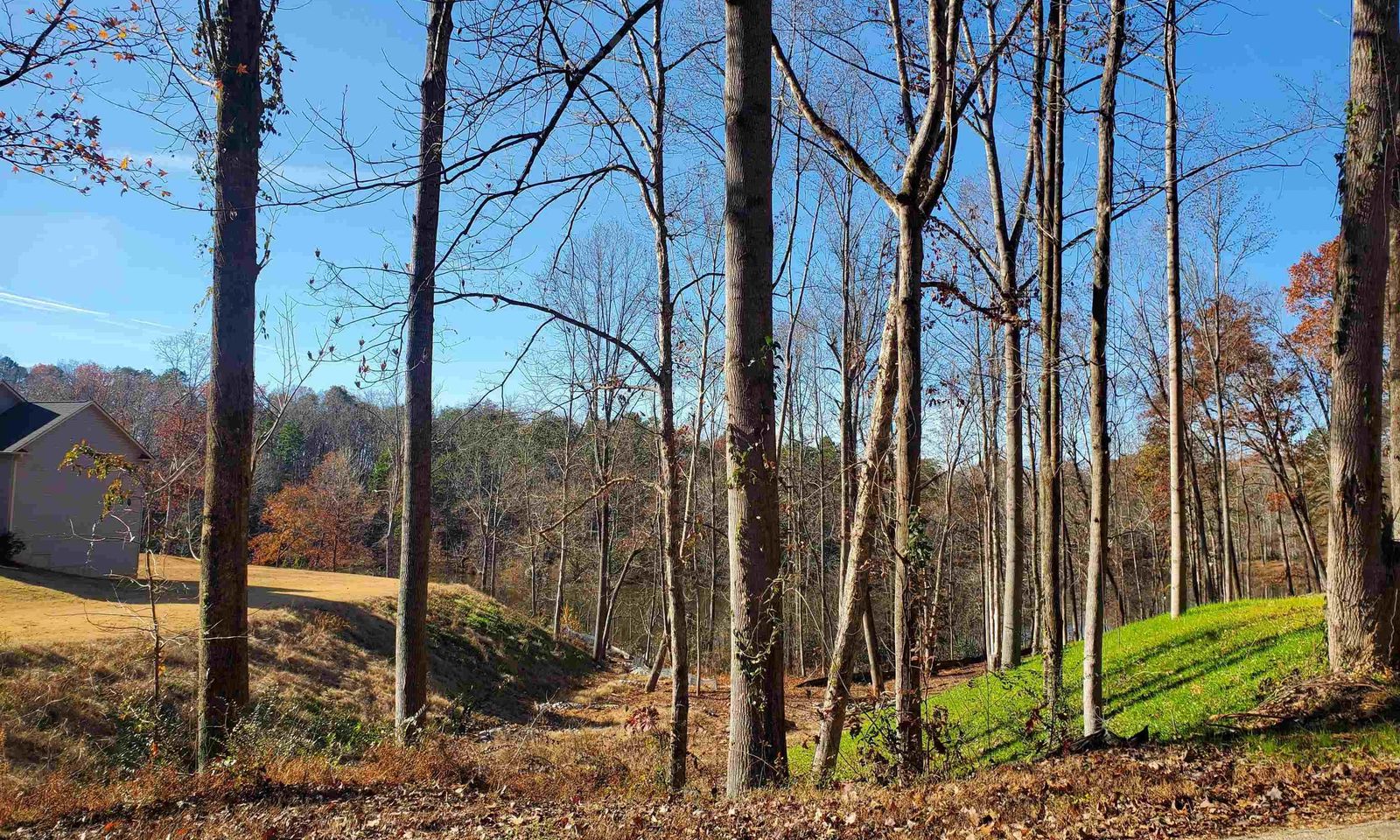 Property image 3 at 144 Timberlake Circle, Inman, SC 29349