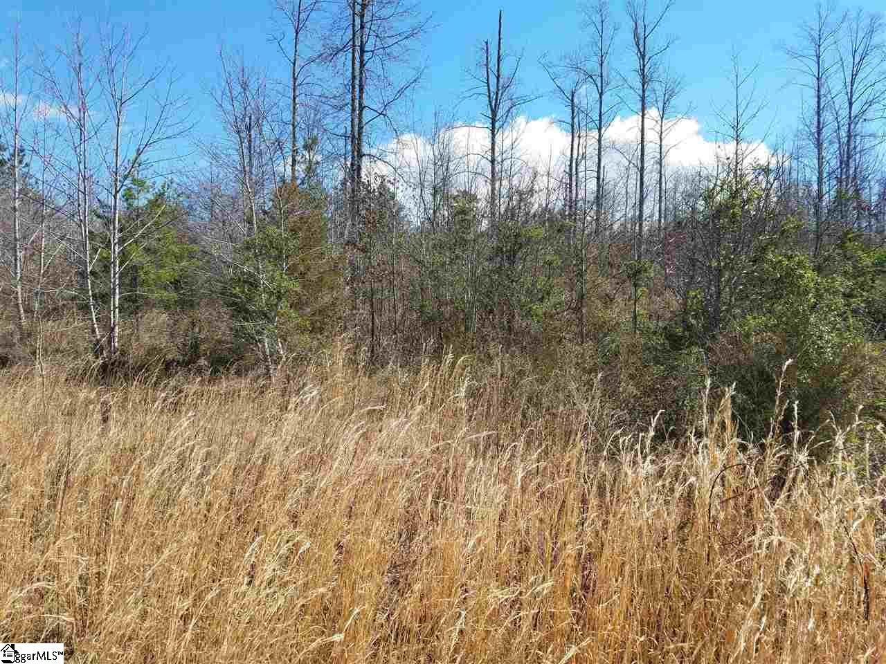 Property image 3 at 122 Caden Lane, Easley, SC 29640
