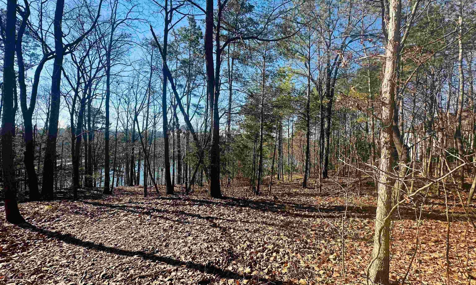 Property image 1 at 104 Charter Oak Drive, Anderson, SC 29625
