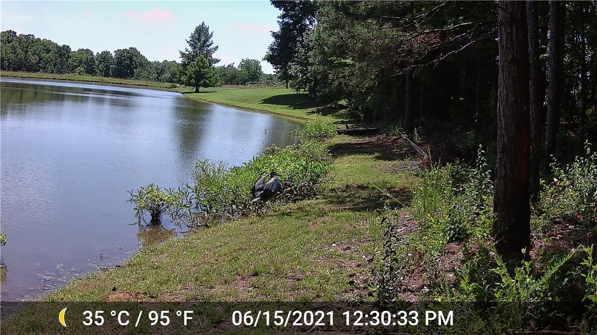 Property image 5 at 31 Tullamore Trail, Abbeville, SC 29620