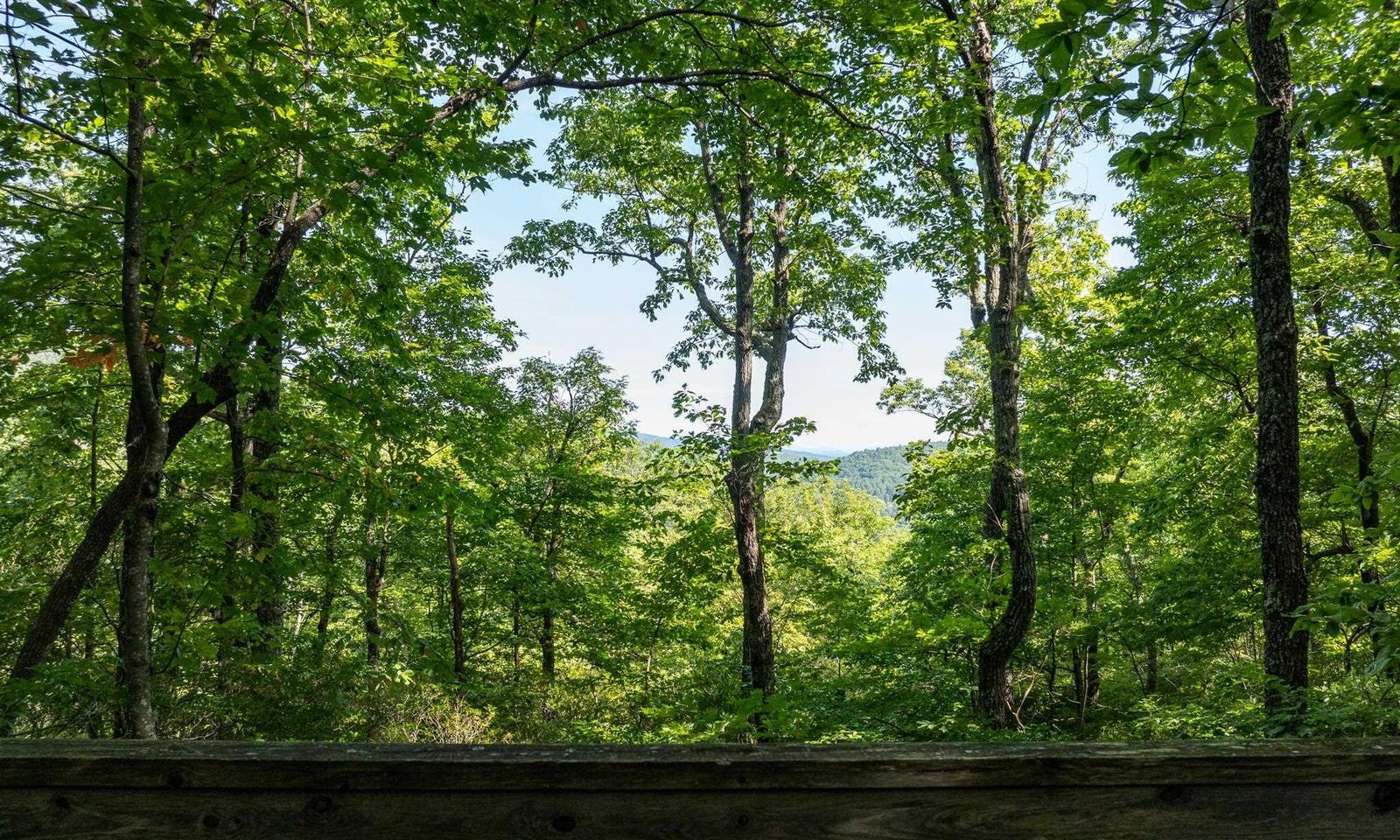 Property image 3 at 0 Panther Mountain Road, Zirconia, NC 28790