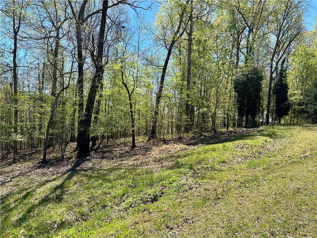 Property image 3 at Lot 238 Chickasaw Point, Westminster, SC 29693