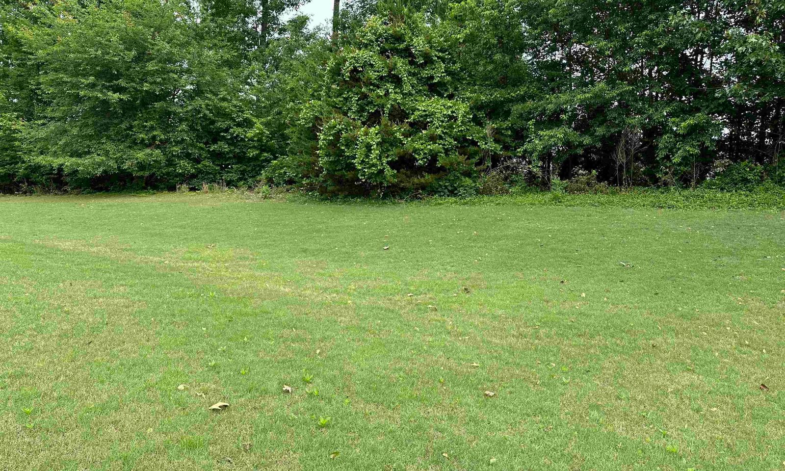 Property image 5 at 15 TAMPICO Court, Greer, SC 29651