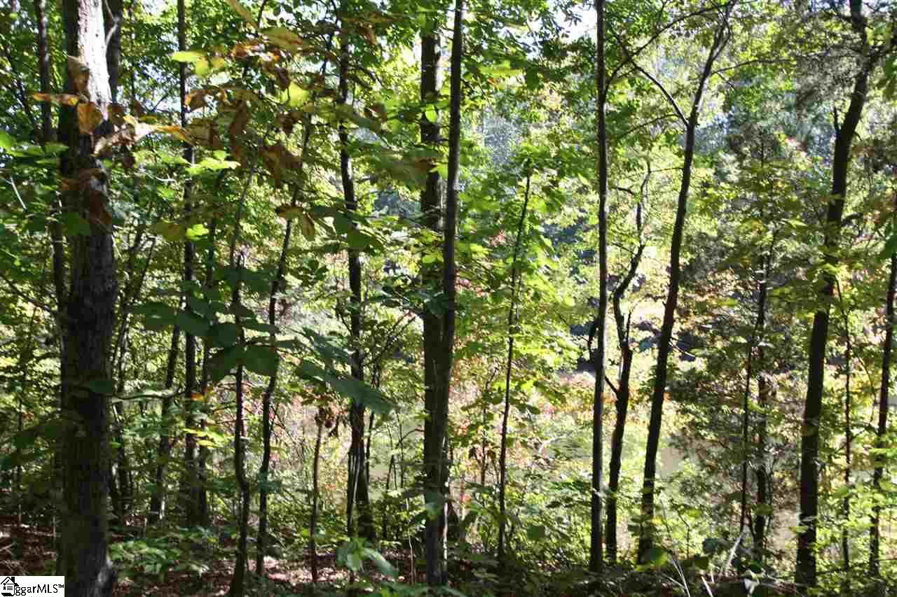 Property image 4 at 35 Blue Gill Drive, Greer, SC 29651