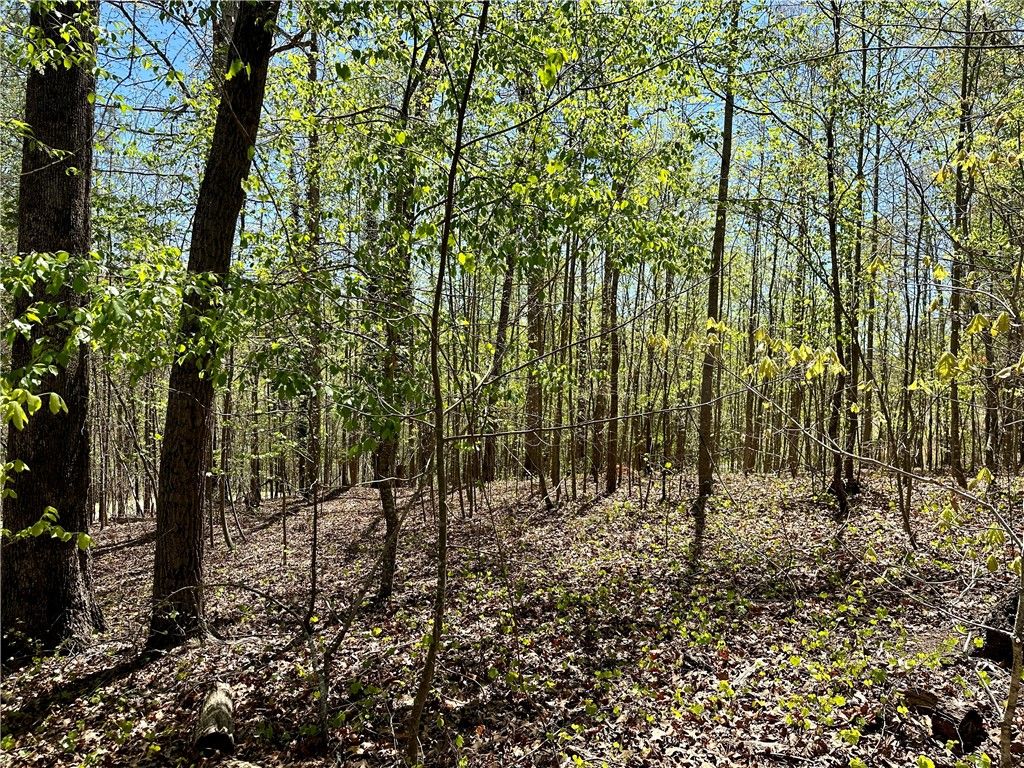 Property image 4 at Lot 238 Chickasaw Point, Westminster, SC 29693