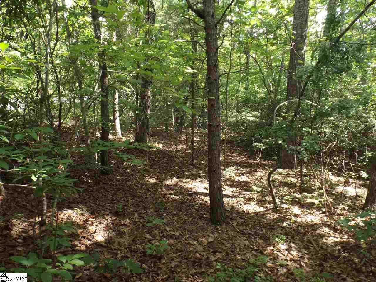 Property image 3 at 210 Cherokee Hills Drive, Pickens, SC 29671