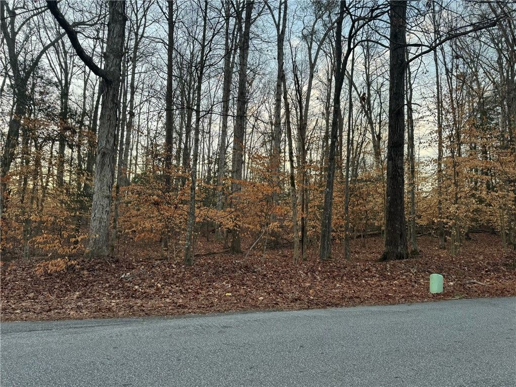 Property image 4 at 0 Pistol Club Road, Easley, SC 29640