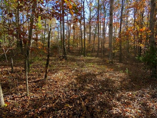 Property image 3 at Lot 7 Tree Cat Trail, Seneca, SC 29678