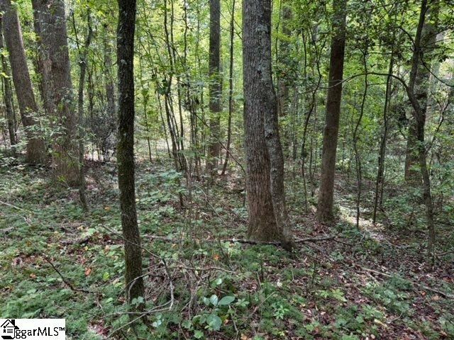 Property image 4 at Christie Drive, Taylors, SC 29687