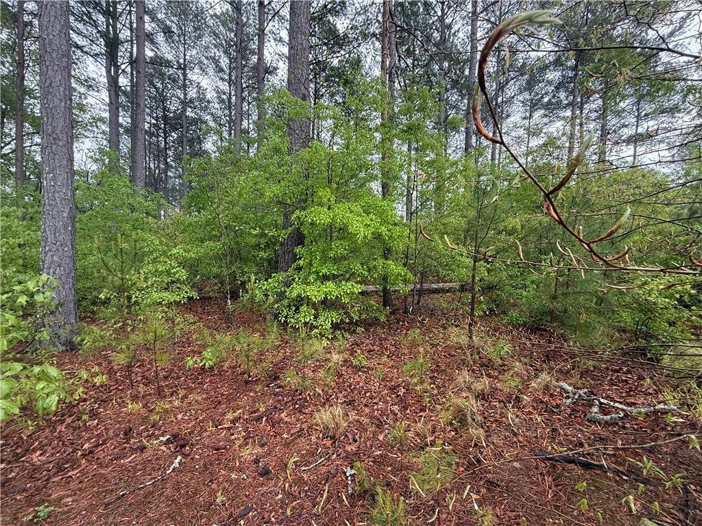 Property image 5 at Lot 63 Harbor Point Road, Seneca, SC 29672