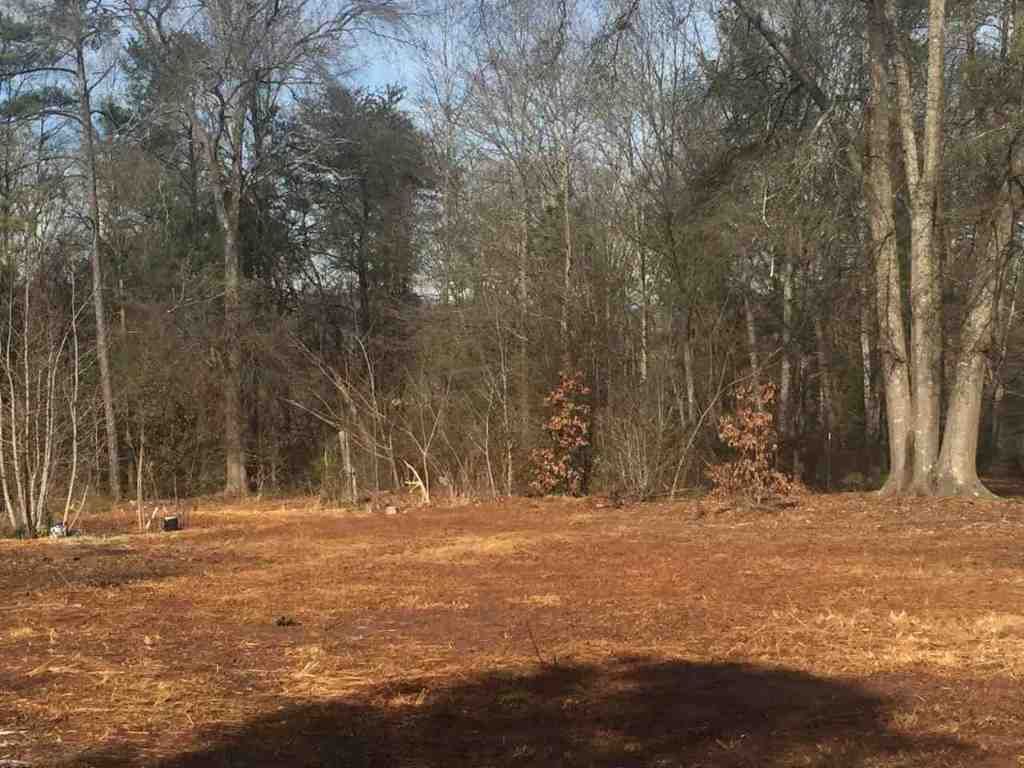 Property image 4 at 214 Lakeview Drive, Townville, SC 29689