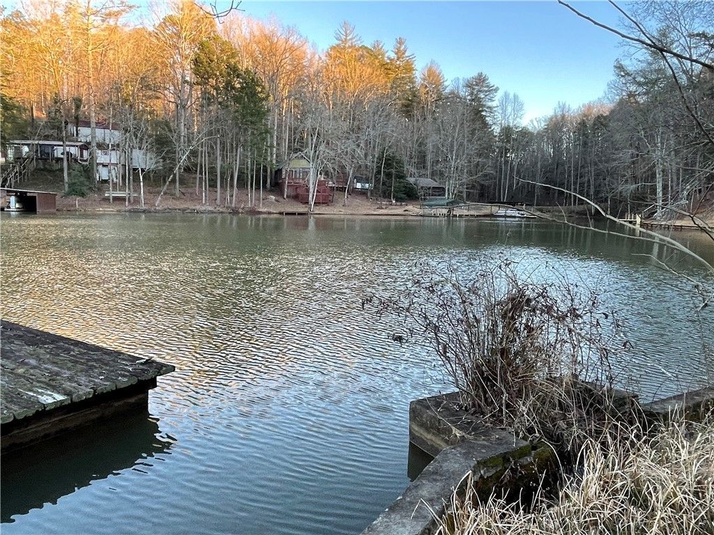 Property image 3 at 00 Whitewater Lake Road, Tamassee, SC 29686
