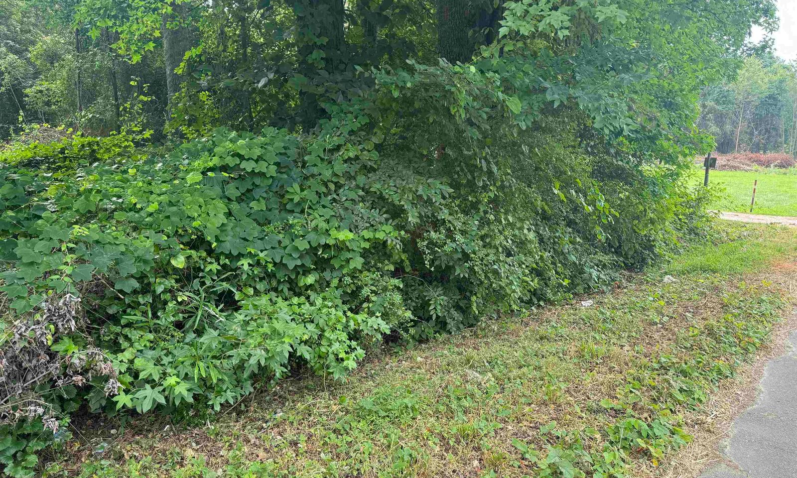 Chevy Chase, Pelzer Community
