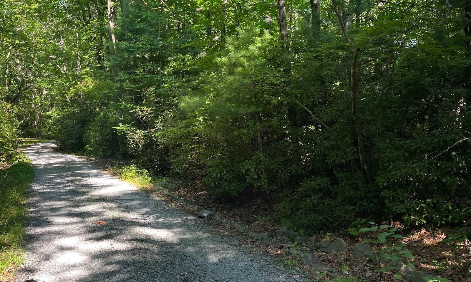 Property image 3 at 00 Upper Oil Camp Road, Cleveland, SC 29635