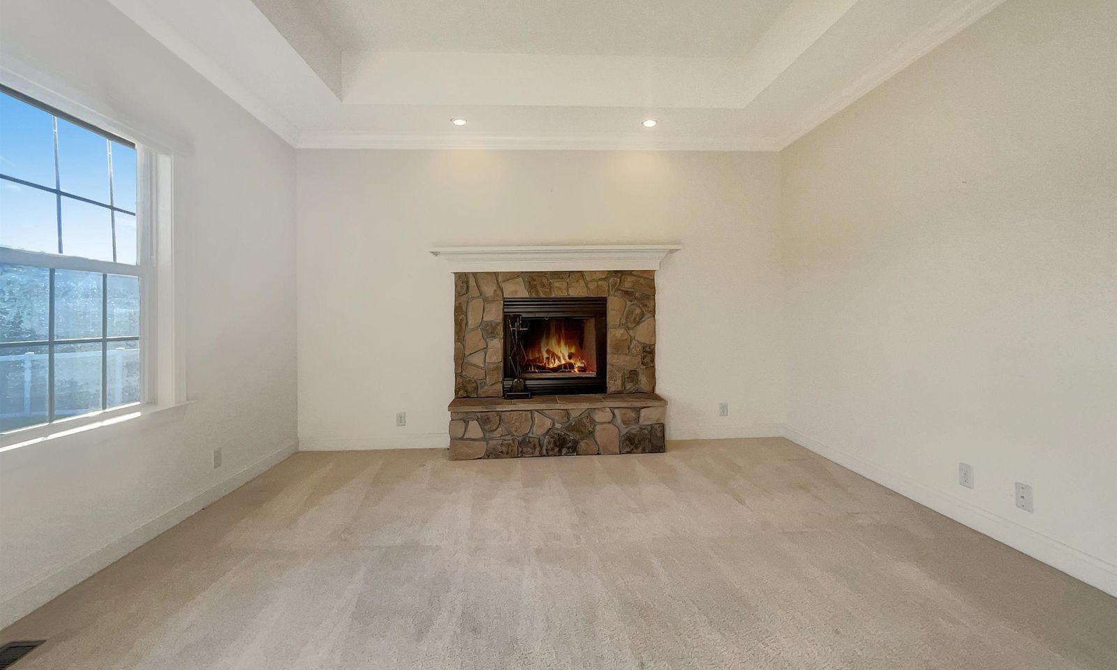 Property image 5 at 300 White Meadow Court, Simpsonville, SC 29681