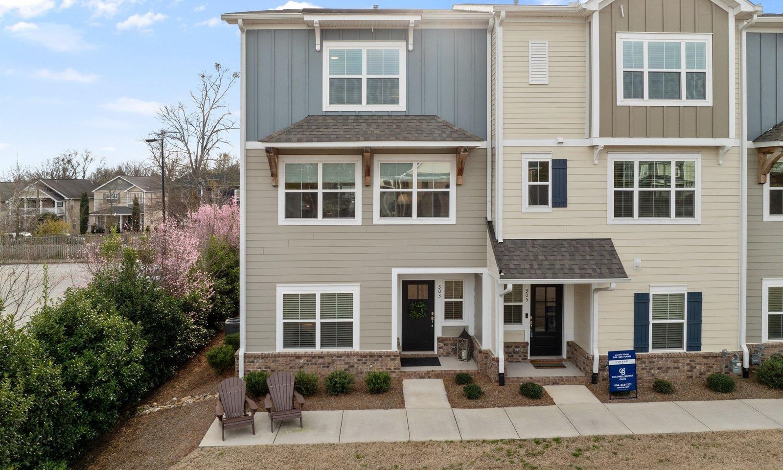 Pinckney Townes, Greenville Community