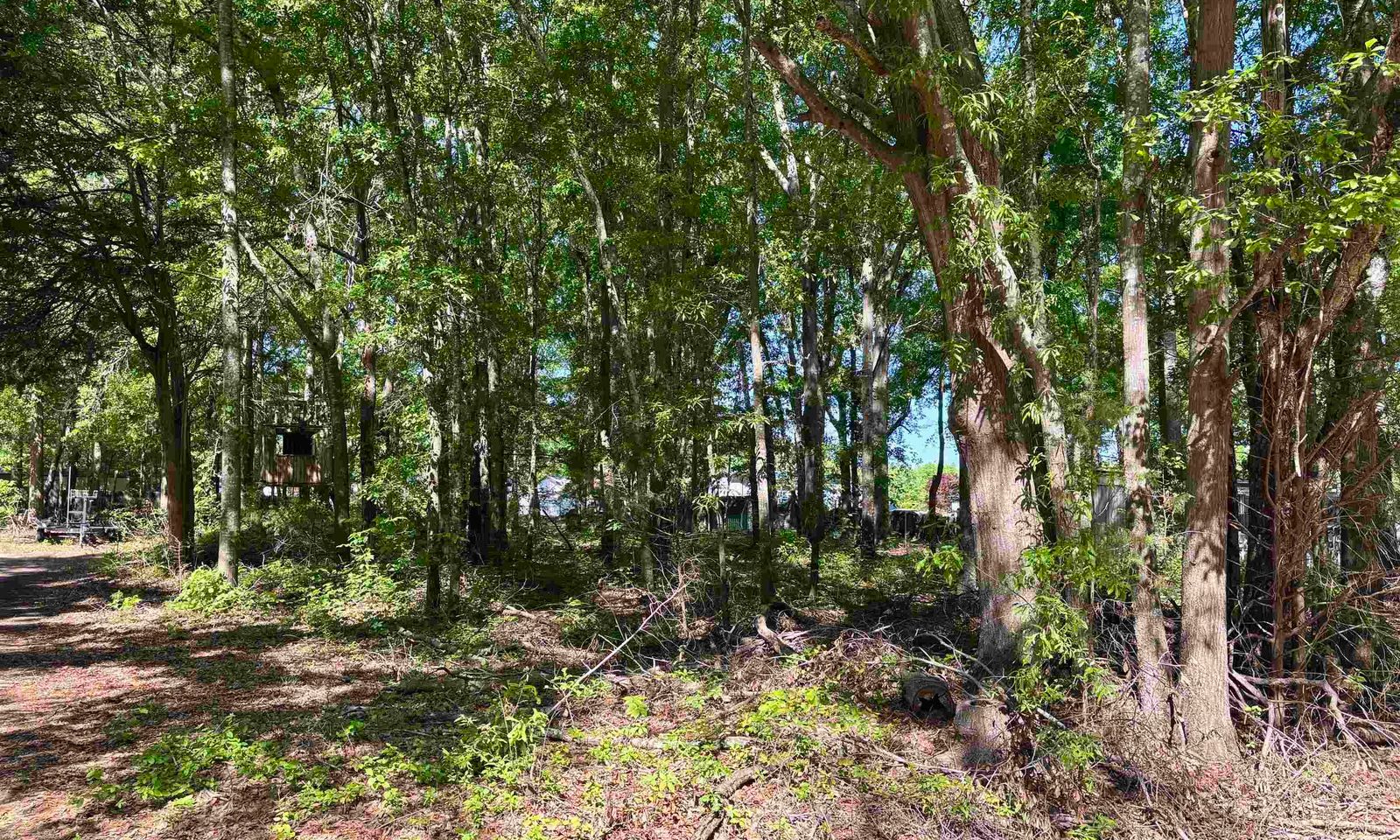 Property image 3 at 00 Harrisburg Drive, Pelzer, SC 29669