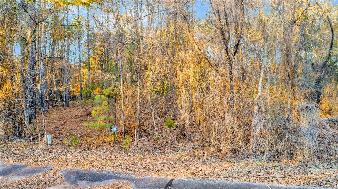 Property image 3 at 214 Deer Run lot #64 Road, Anderson, SC 29626