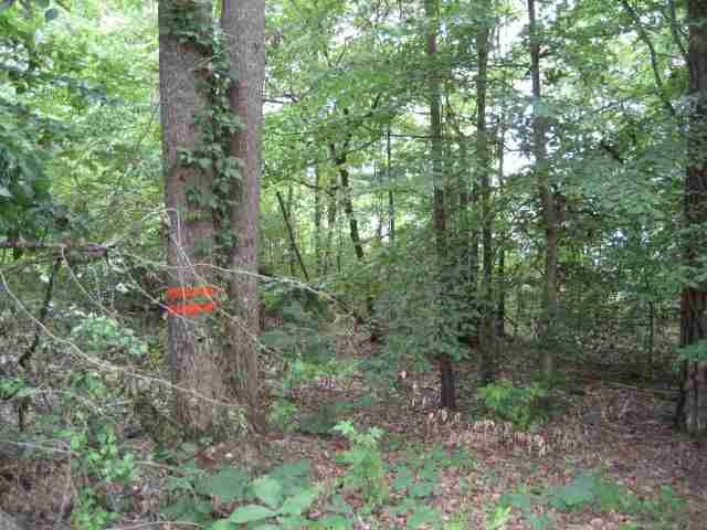 Property image 4 at 4 Friendship Point, Seneca, SC 29678