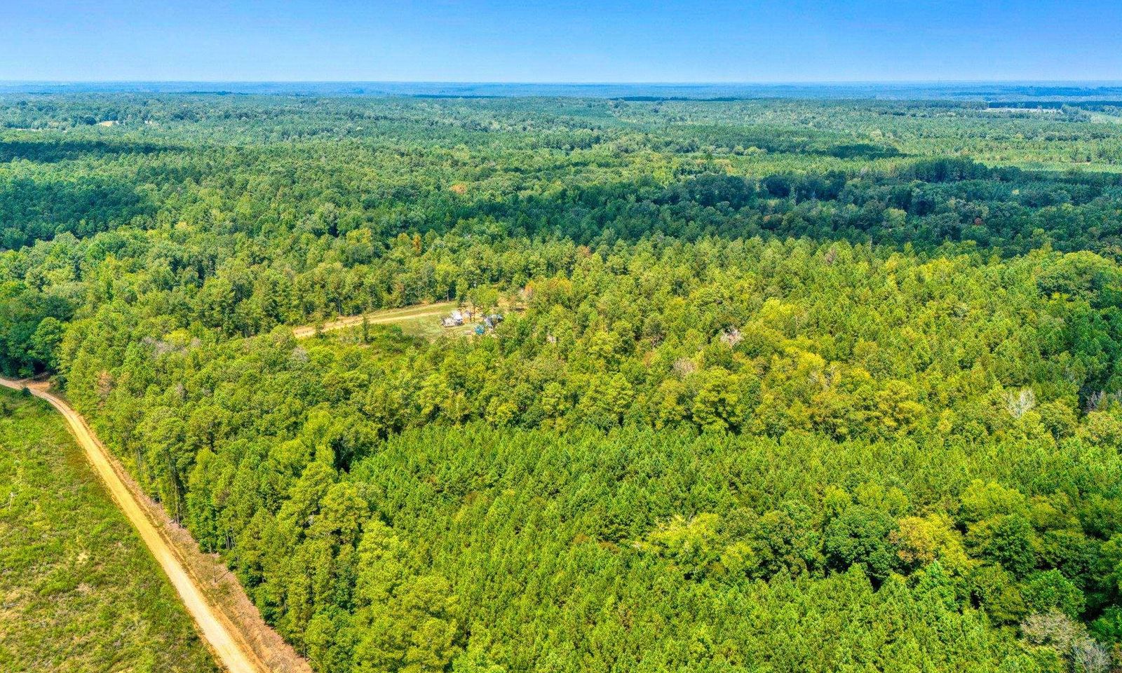 Property image 4 at 1385 Zoar Road, Chappells, SC 29037