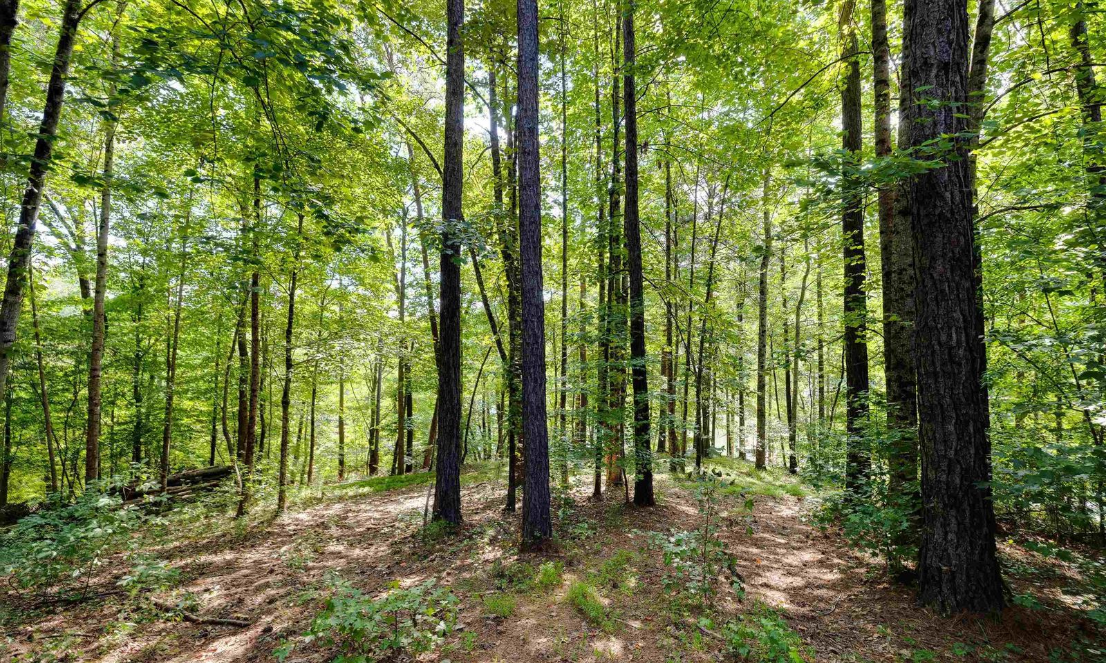 Property image 4 at 131 Cross Lake Trail, Six Mile, SC 29682-0000