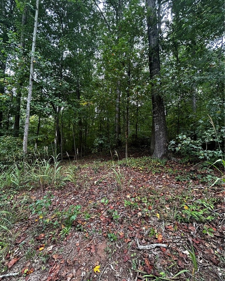 Property image 5 at 0 N Davis Drive, Fair Play, SC 29643