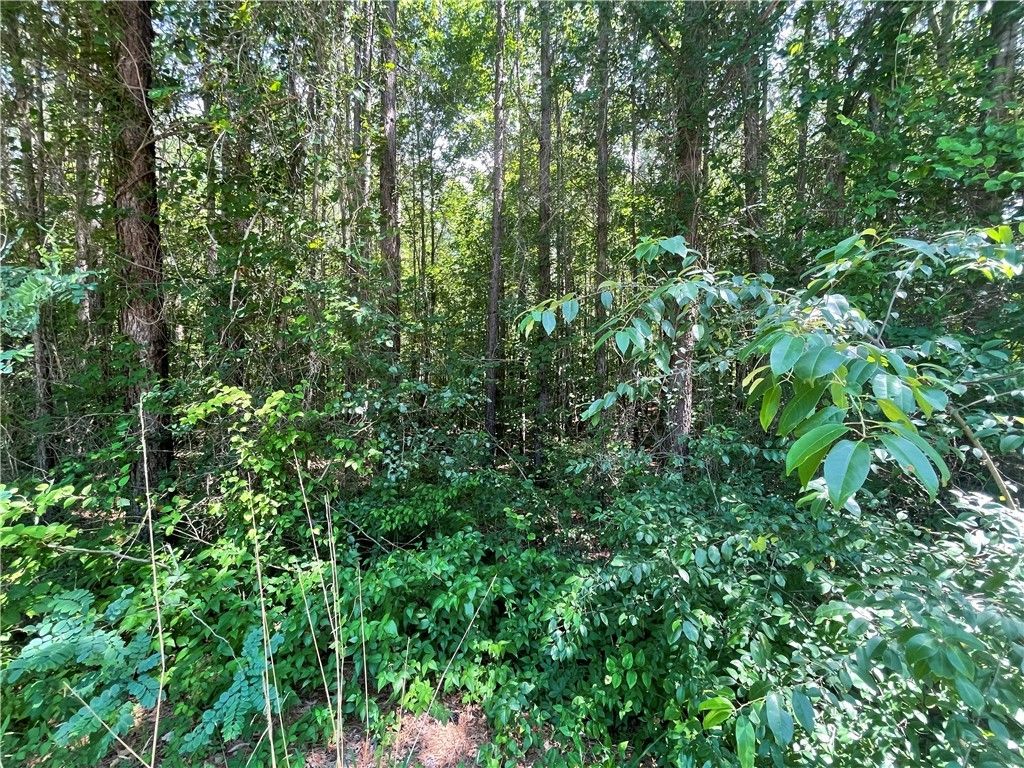 Property image 3 at 04 Earlestead Drive, Walhalla, SC 29691