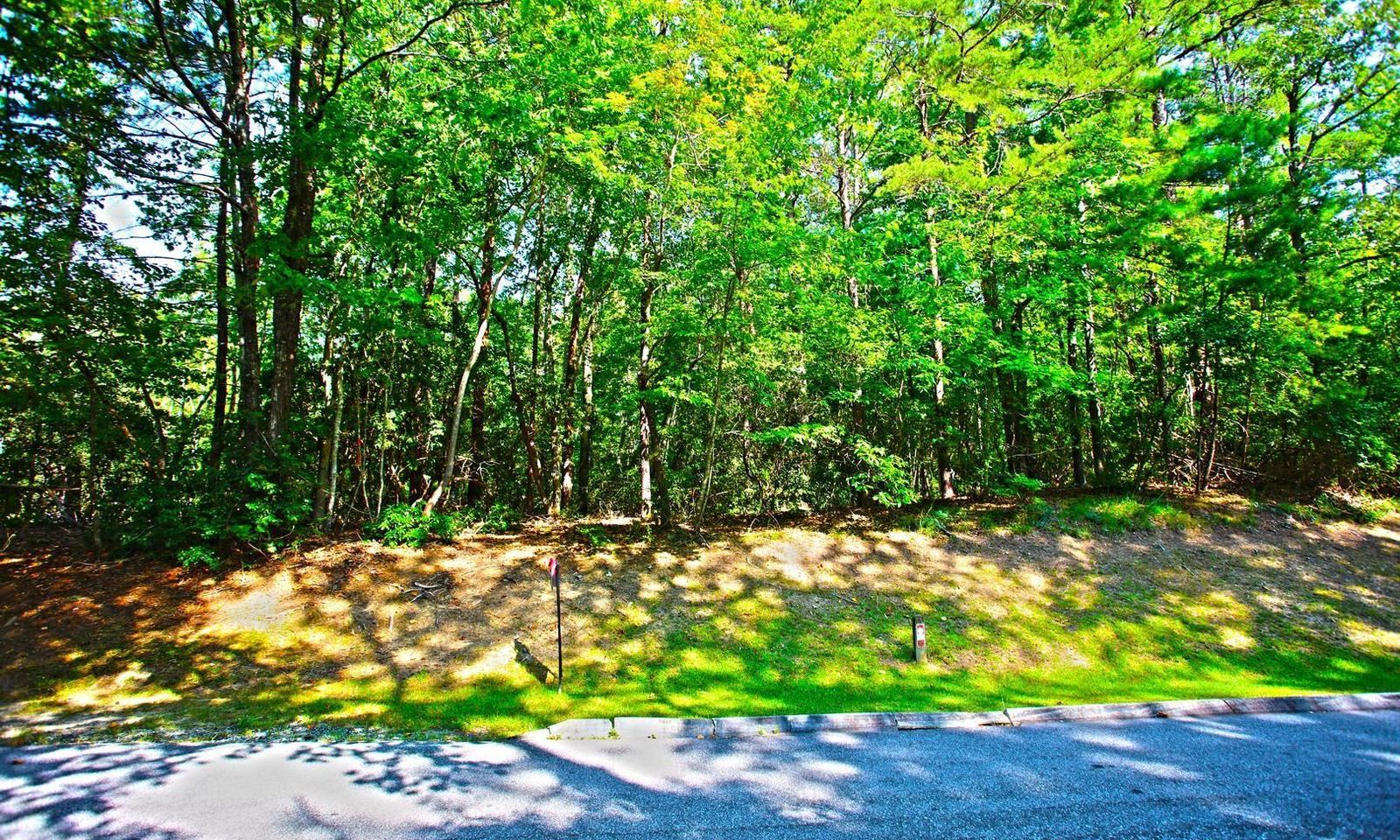 Property image 2 at 503 Turtlehead Drive, Salem, SC 29676