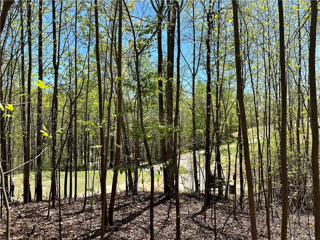Property image 2 at Lot 238 Chickasaw Point, Westminster, SC 29693