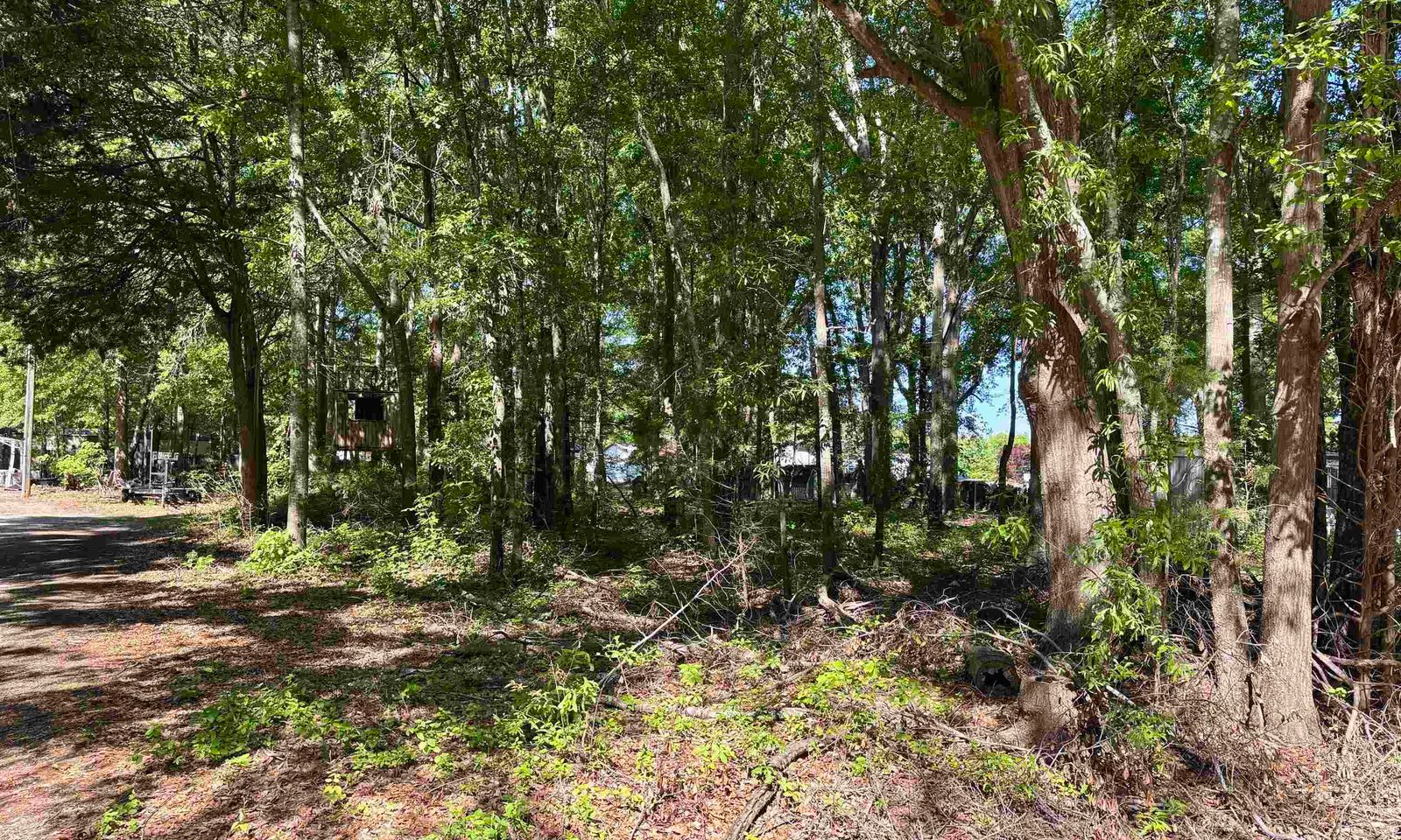 Property image 2 at 00 Harrisburg Drive, Pelzer, SC 29669