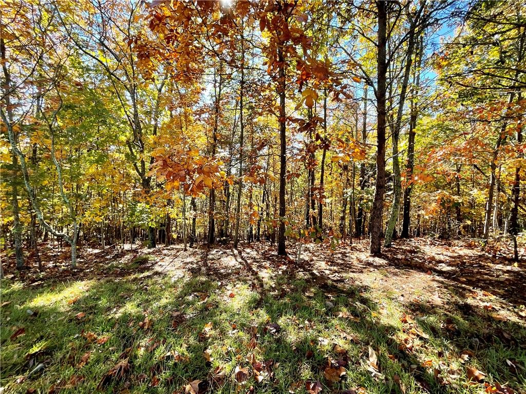 Property image 4 at 203 Long View Court, Pickens, SC 29671