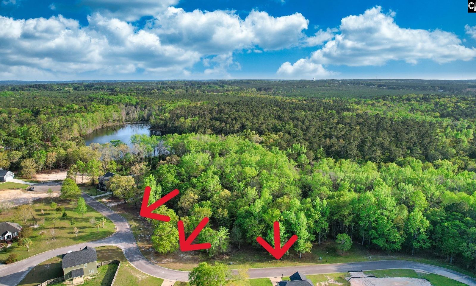 Property image 3 at 015 River Mill Way, Gaston, SC 29053